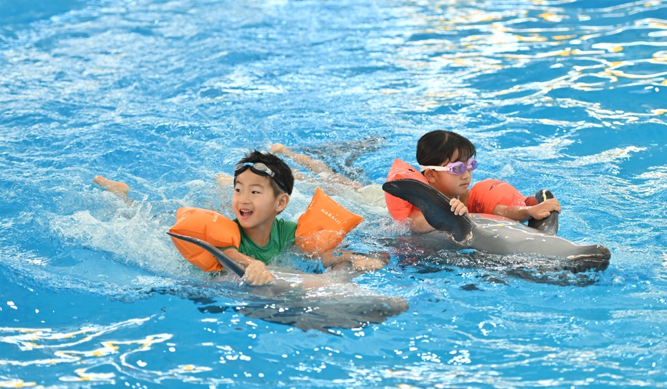 PATTAYA DOLPHINARIUM (SWIMMING WITH DOLPHIN+PRIVATE PICK UP AND DROP PATTAYA HOTEL)